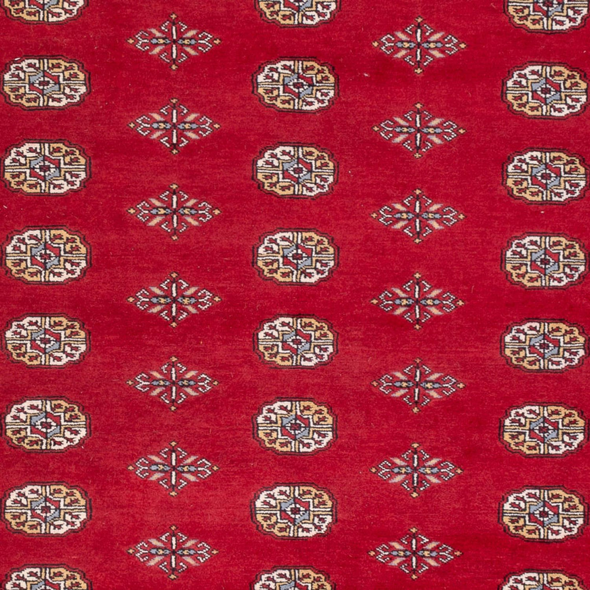 Afghan Teppich - Buchara - 307 x 201 cm - rot