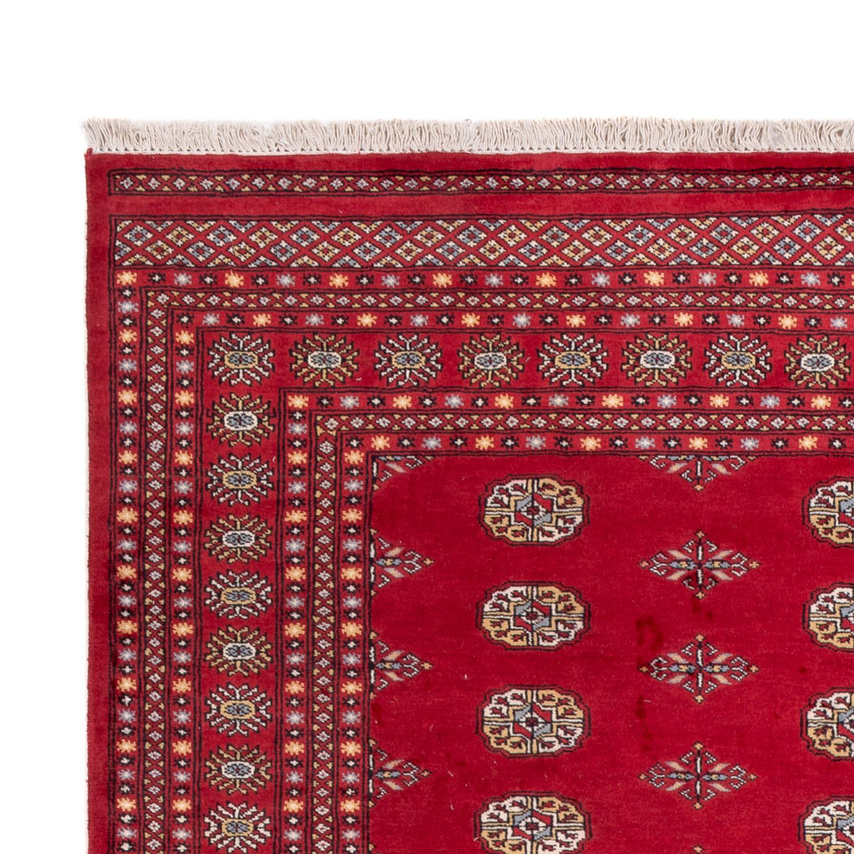Afghan Teppich - Buchara - 307 x 201 cm - rot