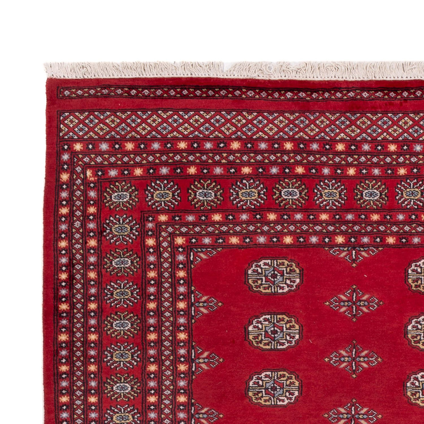 Buchara Teppich 300x201cm - Orientteppich