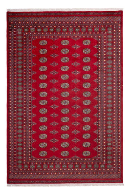 Afghan Teppich - Buchara - 302 x 200 cm - rot