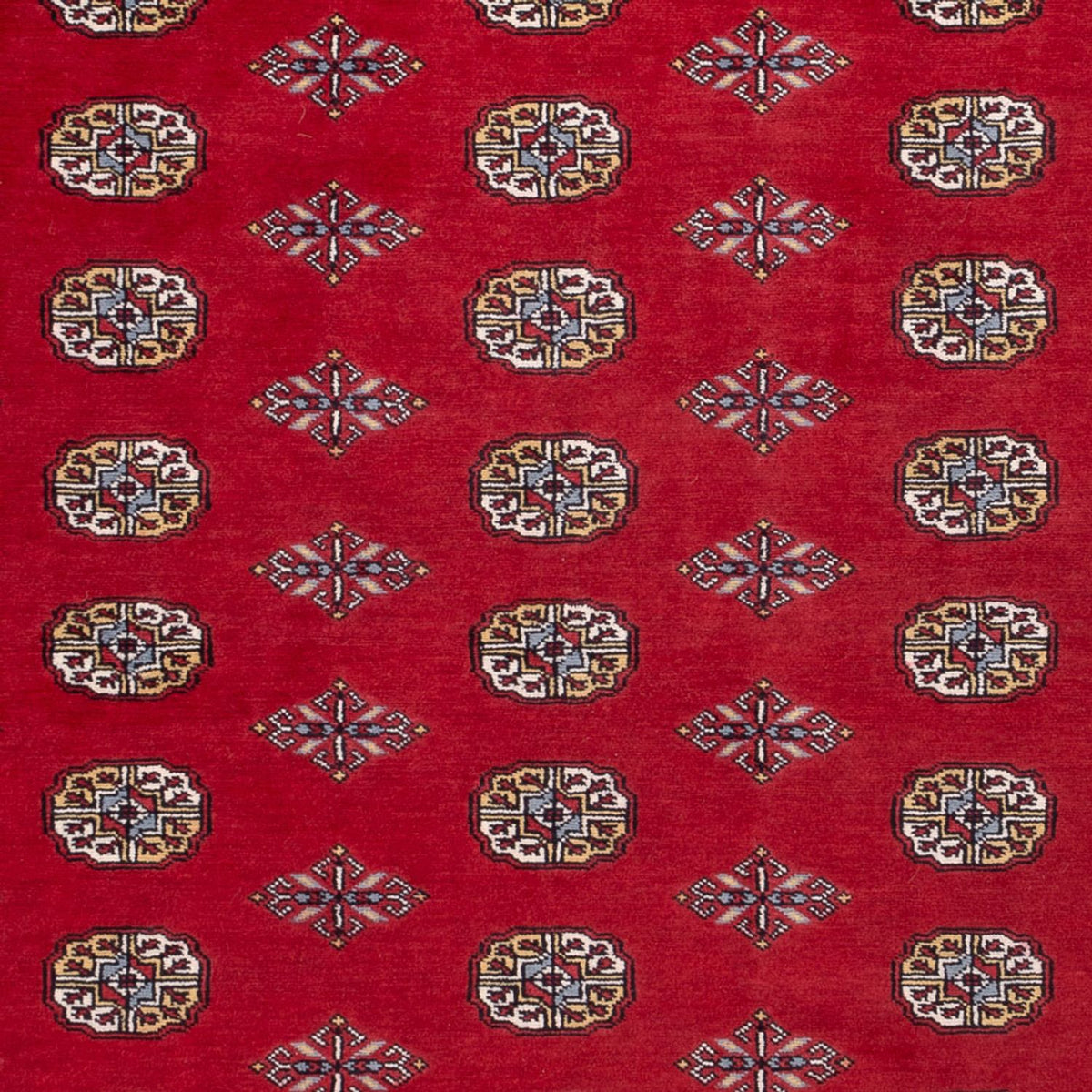 Afghan Teppich - Buchara - 302 x 200 cm - rot