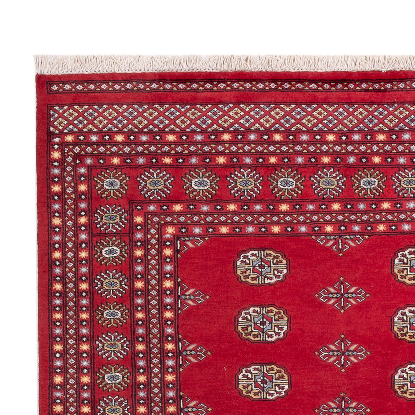 Buchara Teppich 316x203cm - Orientteppich