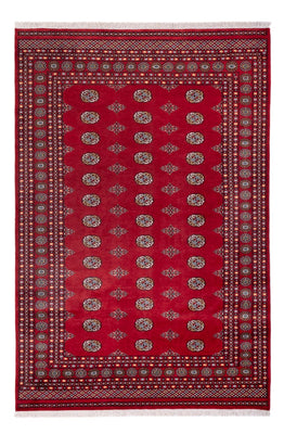 Afghan Teppich - Buchara - 294 x 198 cm - rot