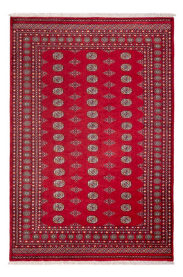 Afghan Teppich - Buchara - 304 x 206 cm - rot
