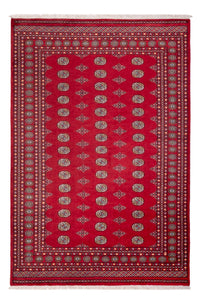 Afghan Teppich - Buchara - 304 x 206 cm - rot
