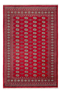 Afghan Teppich - Buchara - 313 x 207 cm - rot