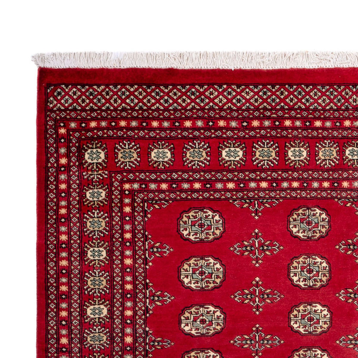 Afghan Teppich - Buchara - 318 x 210 cm - rot