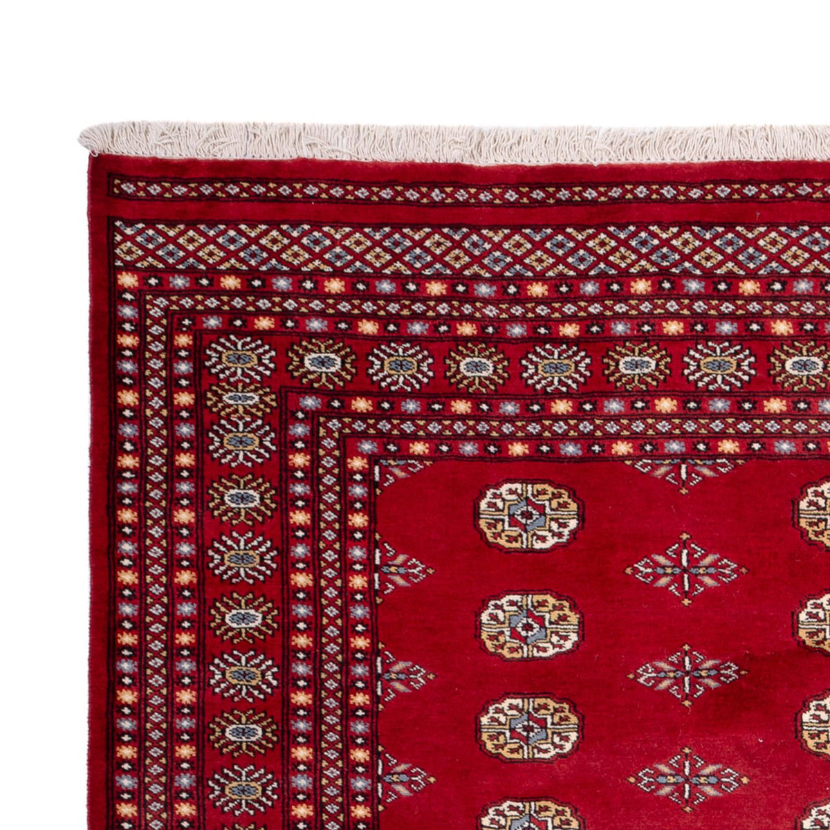 Afghan Teppich - Buchara - 308 x 207 cm - rot