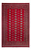 Afghan Teppich - Buchara - 314 x 202 cm - rot