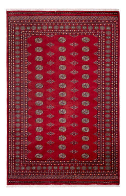 Afghan Teppich - Buchara - 306 x 202 cm - rot