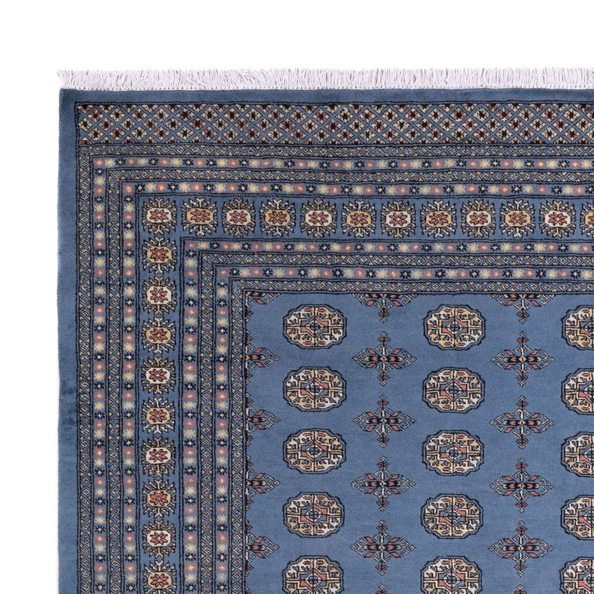 Afghan Teppich - Buchara - 297 x 250 cm - blau