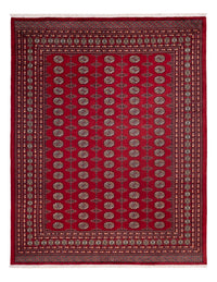 Afghan Teppich - Buchara - 309 x 246 cm - rot
