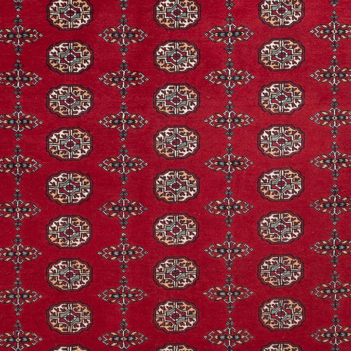 Afghan Teppich - Buchara - 309 x 246 cm - rot