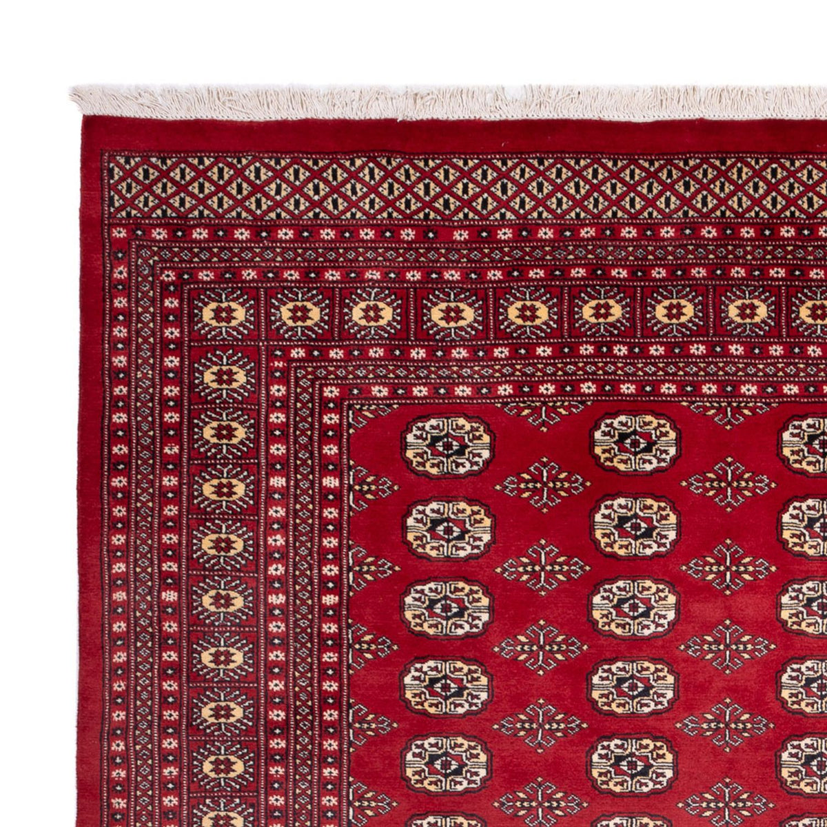Afghan Teppich - Buchara - 305 x 244 cm - rot