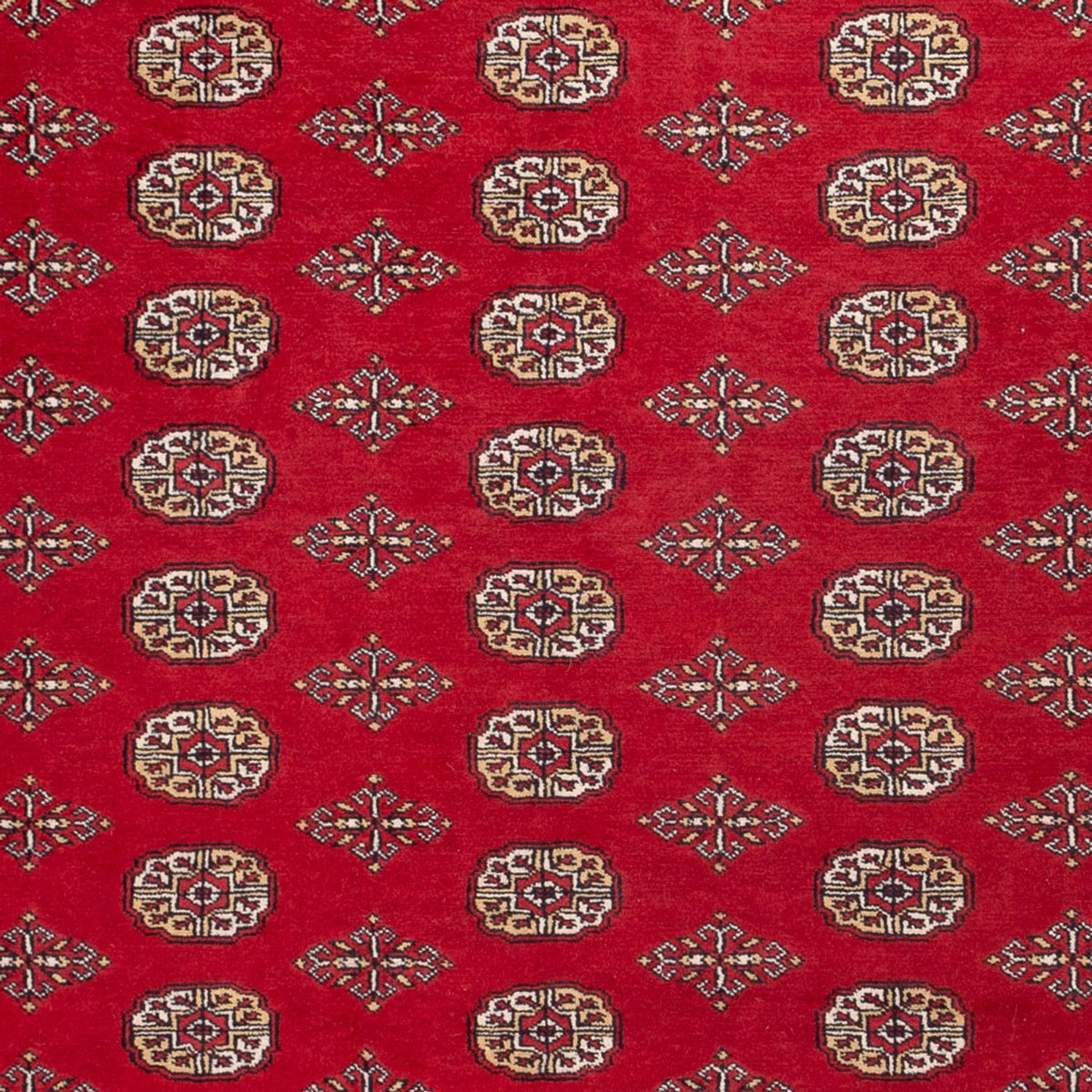 Afghan Teppich - Buchara - 305 x 252 cm - rot