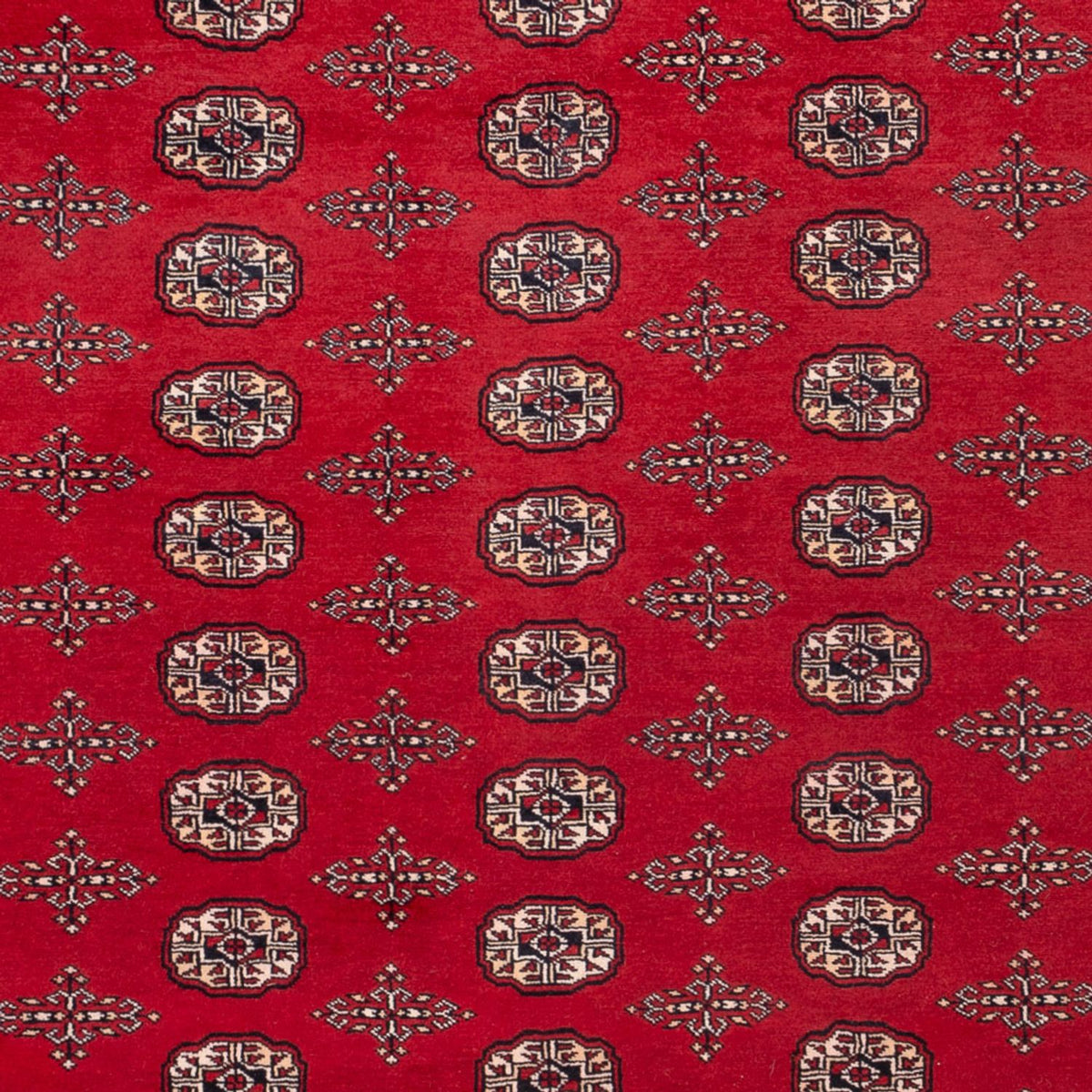 Afghan Teppich - Buchara - 319 x 250 cm - rot