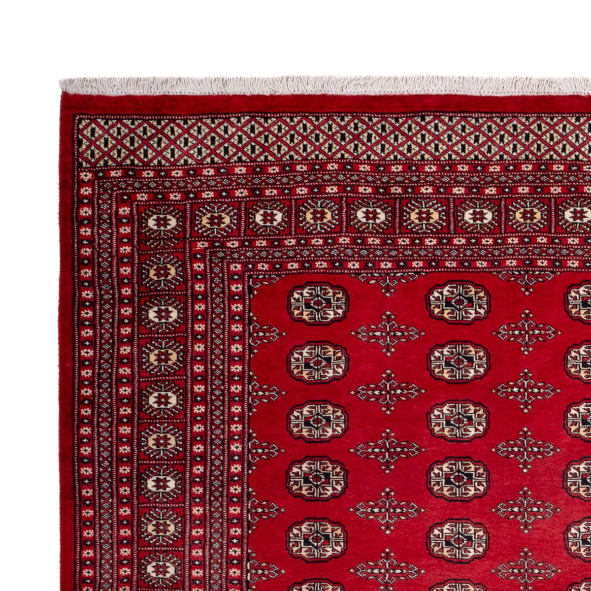 Afghan Teppich - Buchara - 319 x 250 cm - rot