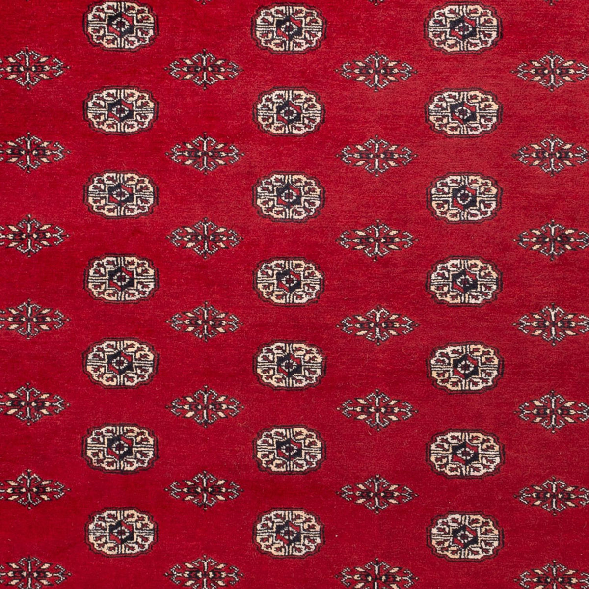 Afghan Teppich - Buchara - 323 x 248 cm - rot