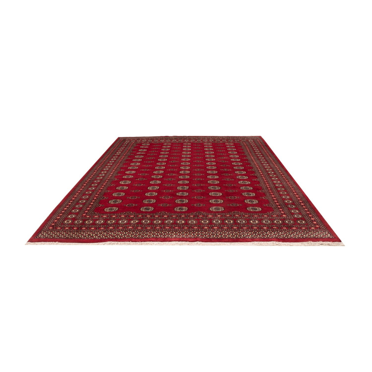 Afghan Teppich - Buchara - 323 x 248 cm - rot