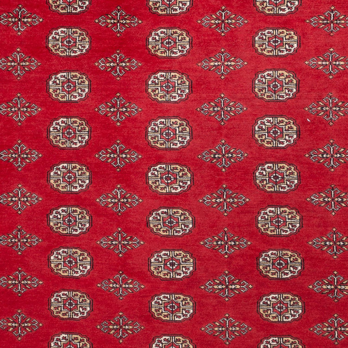 Afghan Teppich - Buchara - 321 x 247 cm - rot