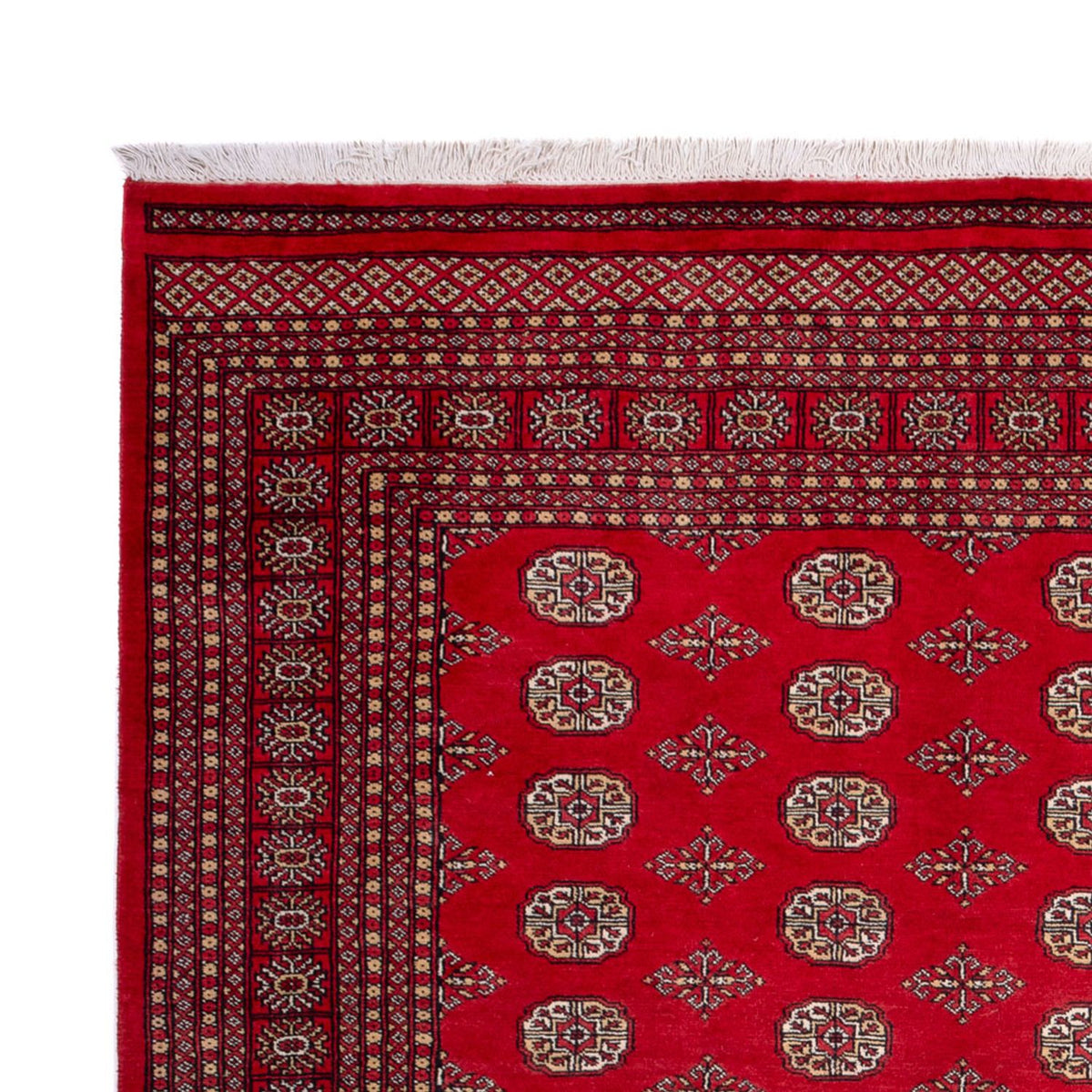 Afghan Teppich - Buchara - 321 x 247 cm - rot