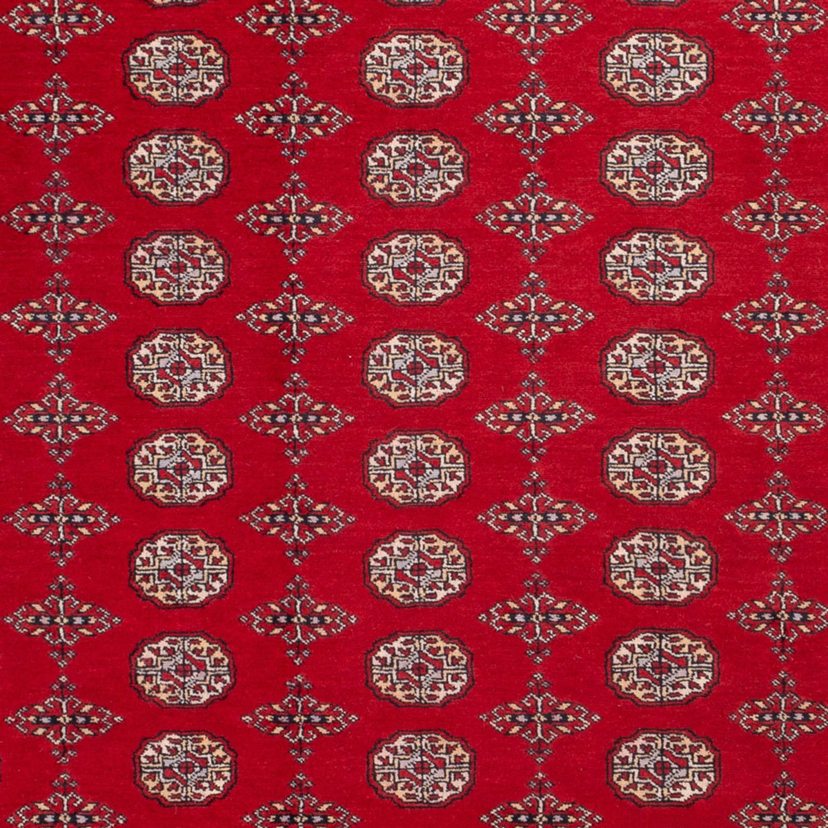 Afghan Teppich - Buchara - 318 x 247 cm - rot