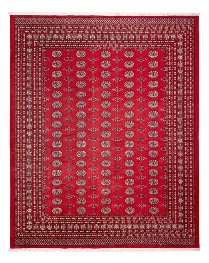Afghan Teppich - Buchara - 310 x 250 cm - rot