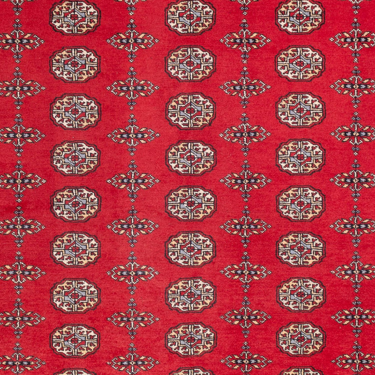 Afghan Teppich - Buchara - 310 x 250 cm - rot