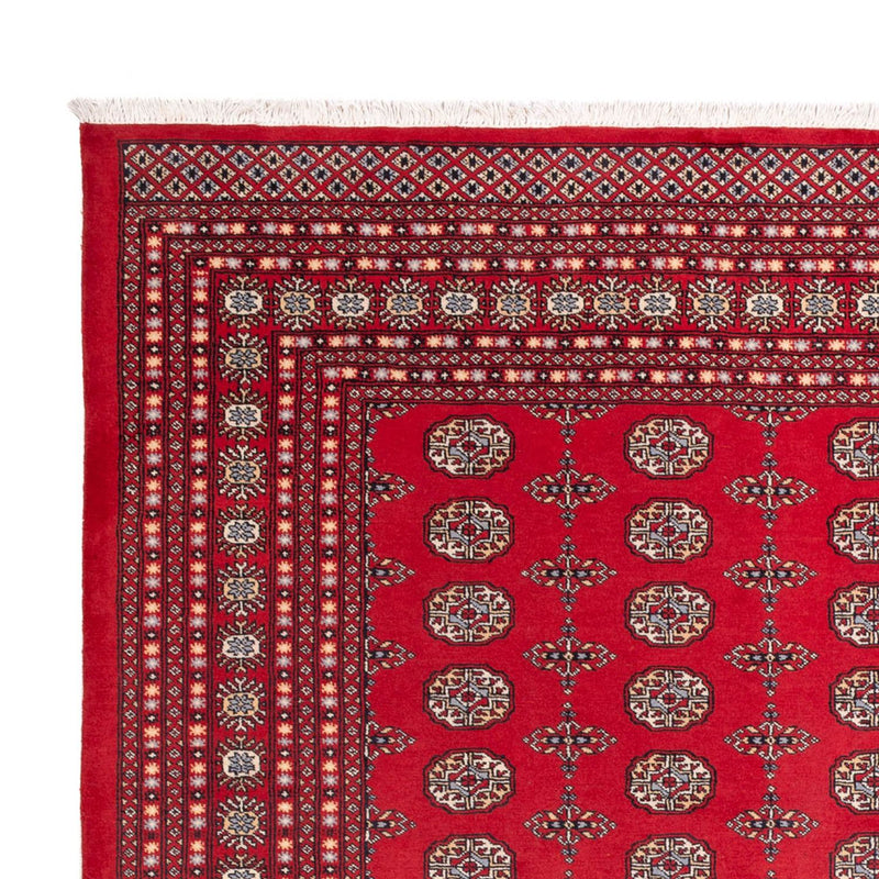 Afghan Teppich - Buchara - 310 x 250 cm - rot