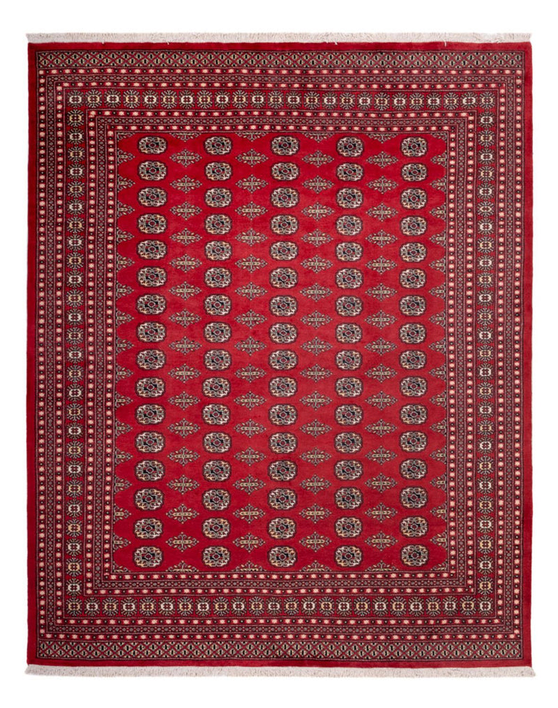 Afghan Teppich - Buchara - 315 x 248 cm - rot