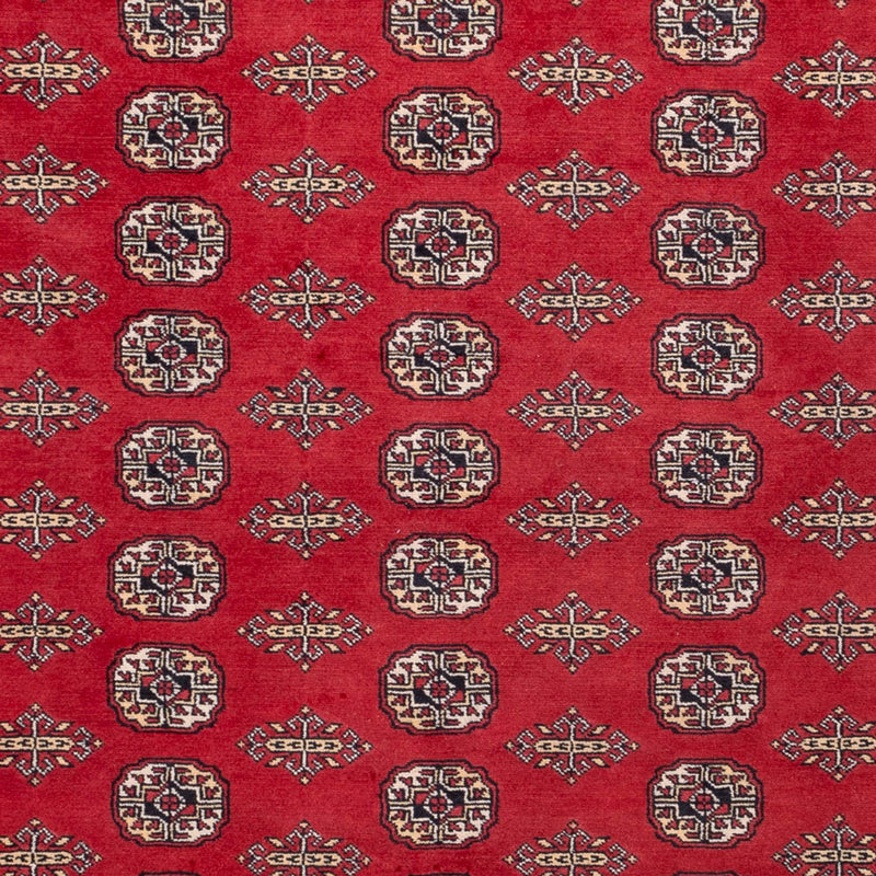 Afghan Teppich - Buchara - 315 x 248 cm - rot