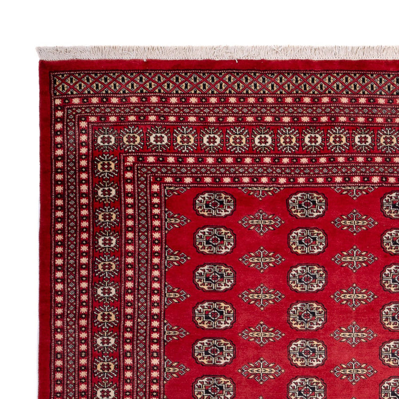 Afghan Teppich - Buchara - 315 x 248 cm - rot