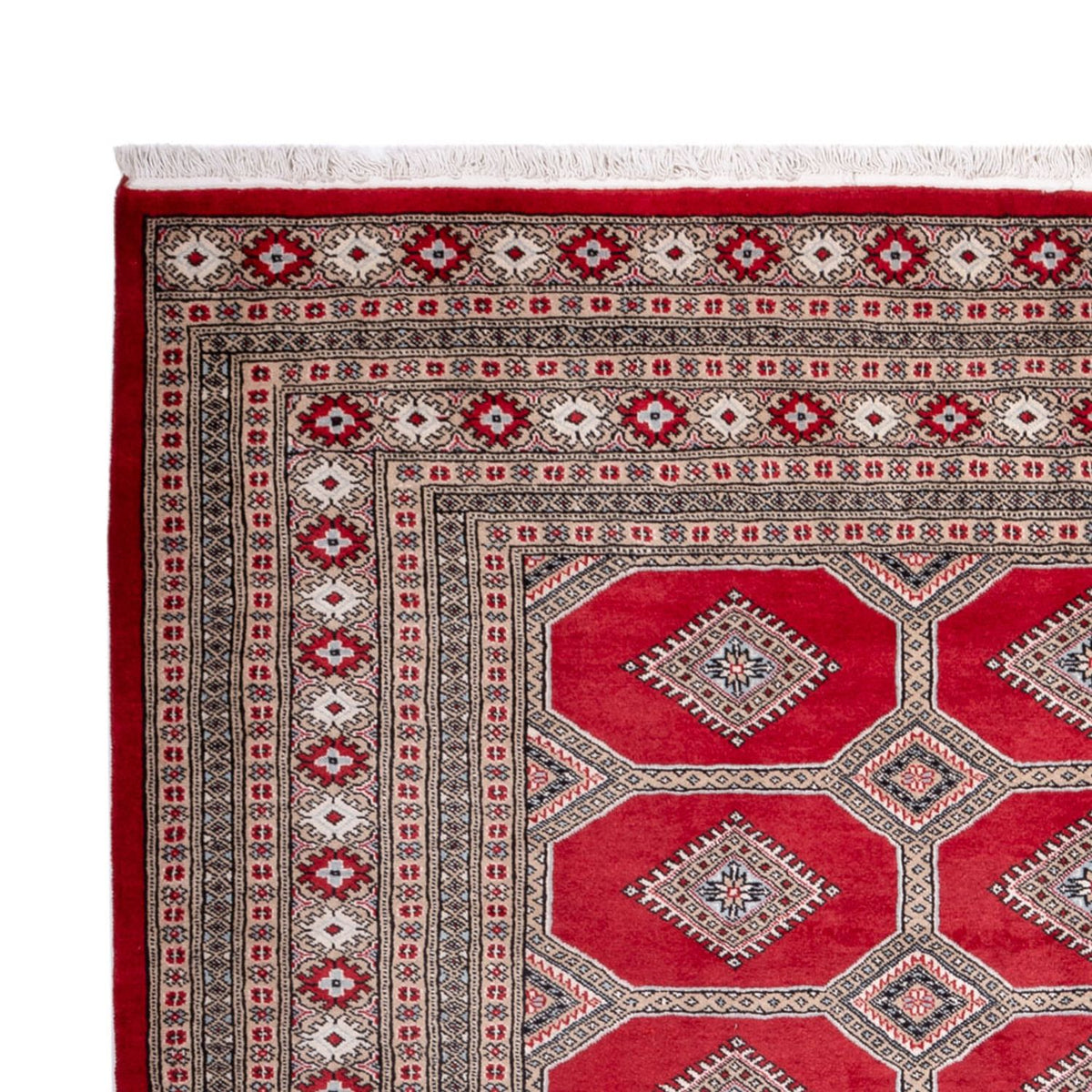 Afghan Teppich - Buchara - 287 x 220 cm - rot