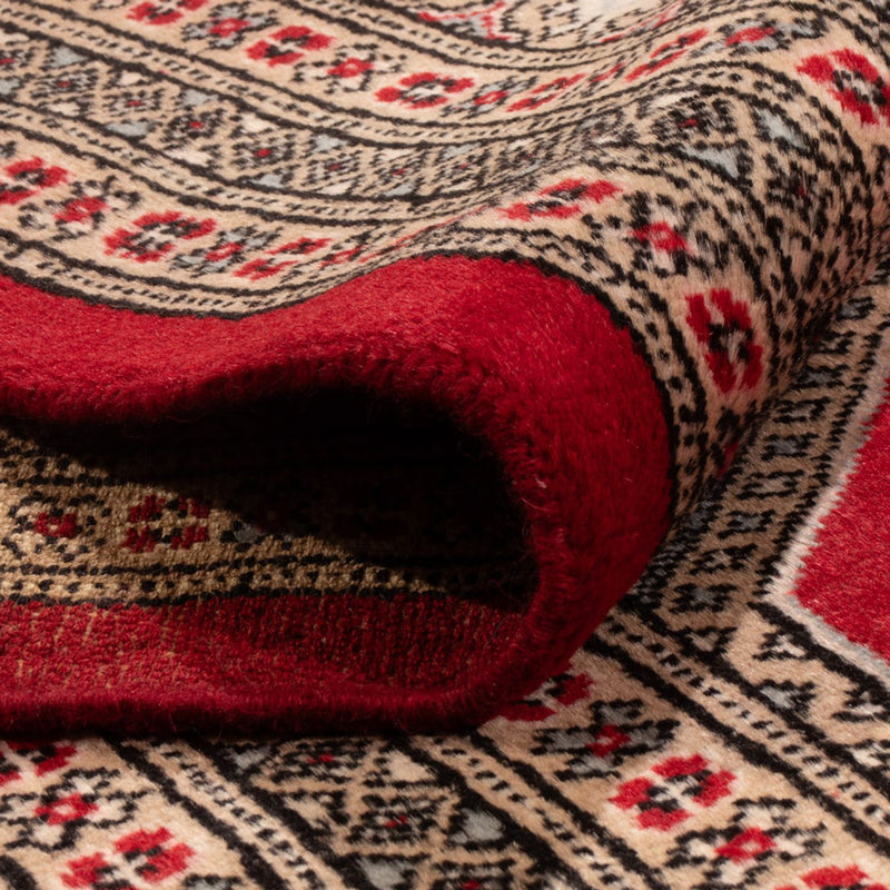 Afghan Teppich - Buchara - 287 x 220 cm - rot