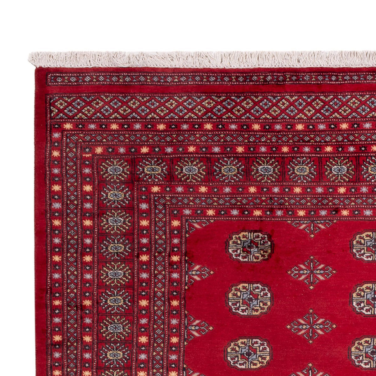 Afghan Teppich - Buchara - 307 x 202 cm - rot