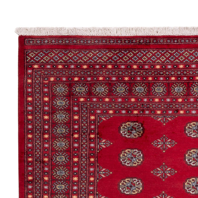 Afghan Teppich - Buchara - 307 x 202 cm - rot