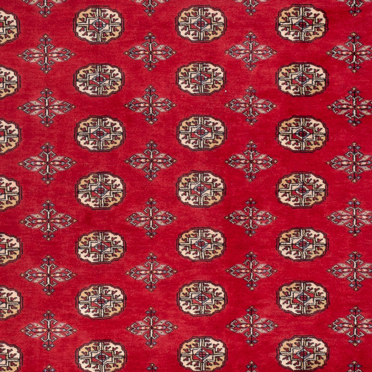 Afghan Teppich - Buchara - 298 x 198 cm - rot