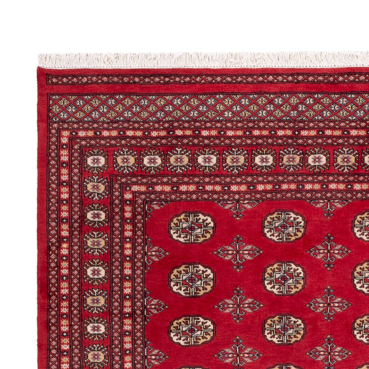 Afghan Teppich - Buchara - 298 x 198 cm - rot