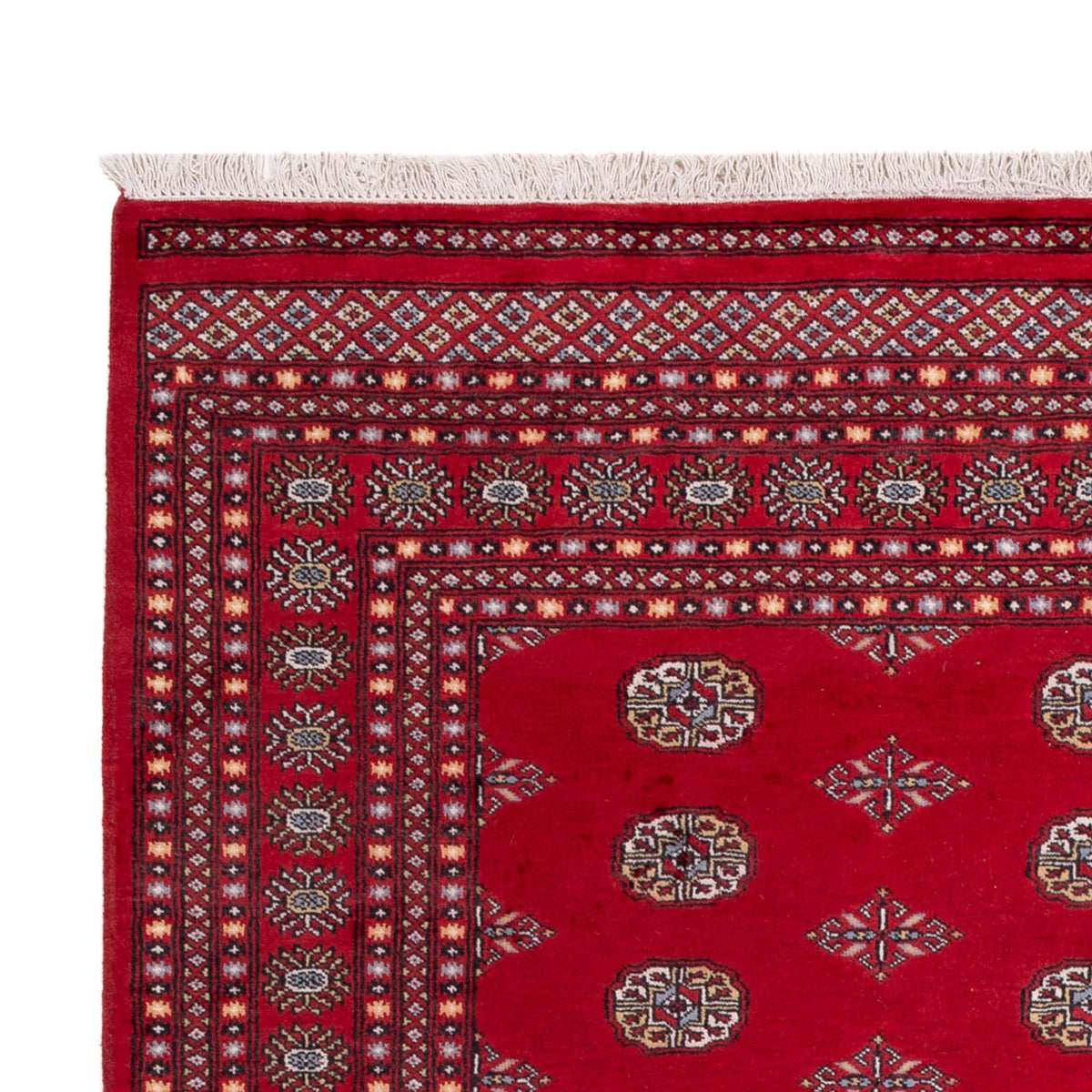 Afghan Teppich - Buchara - 303 x 205 cm - rot