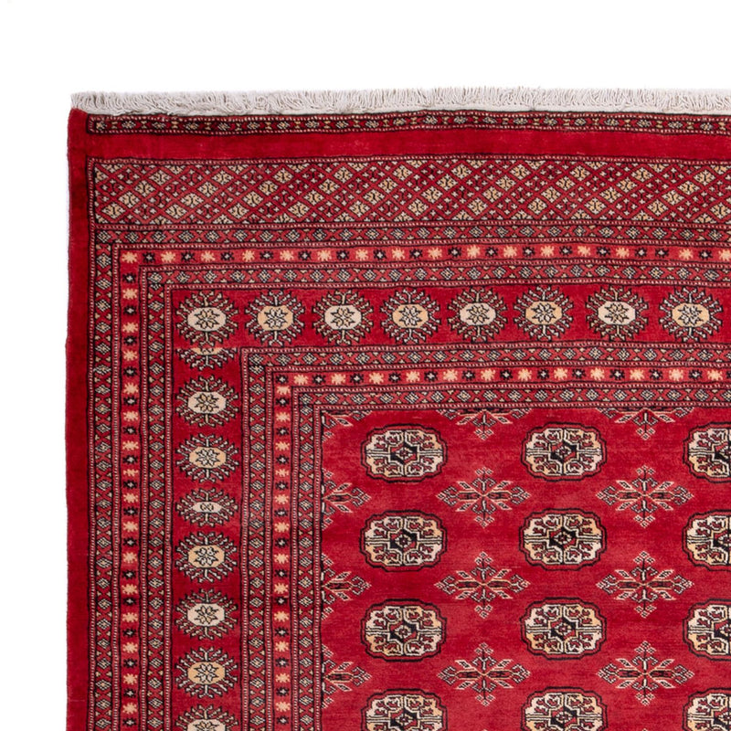 Afghan Teppich - Buchara - 297 x 220 cm - rot