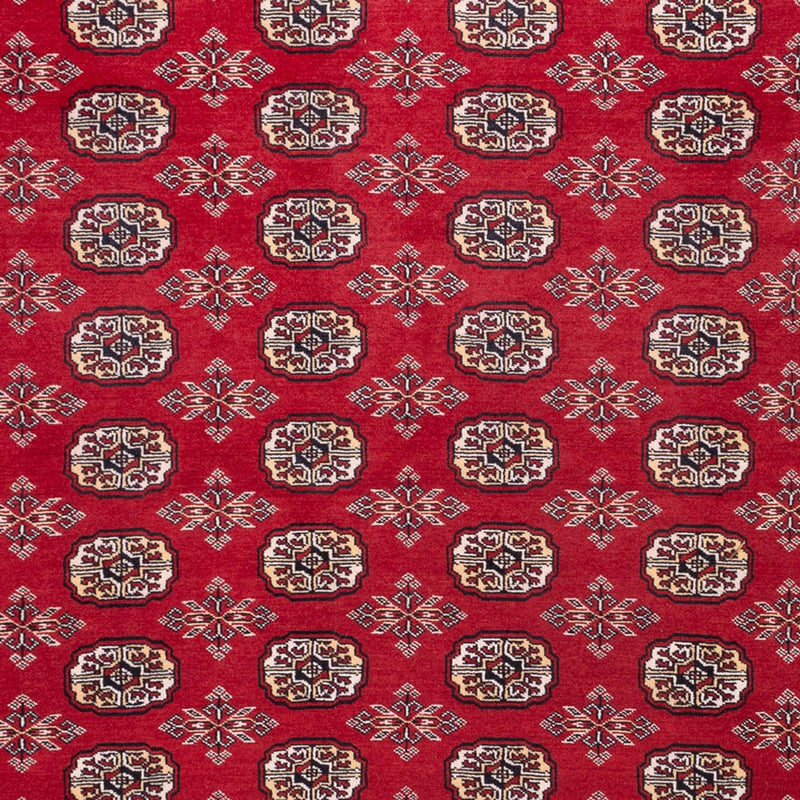 Afghan Teppich - Buchara - 322 x 248 cm - rot