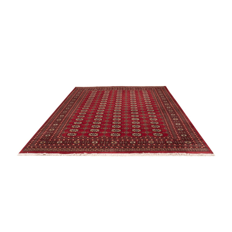 Afghan Teppich - Buchara - 312 x 245 cm - rot