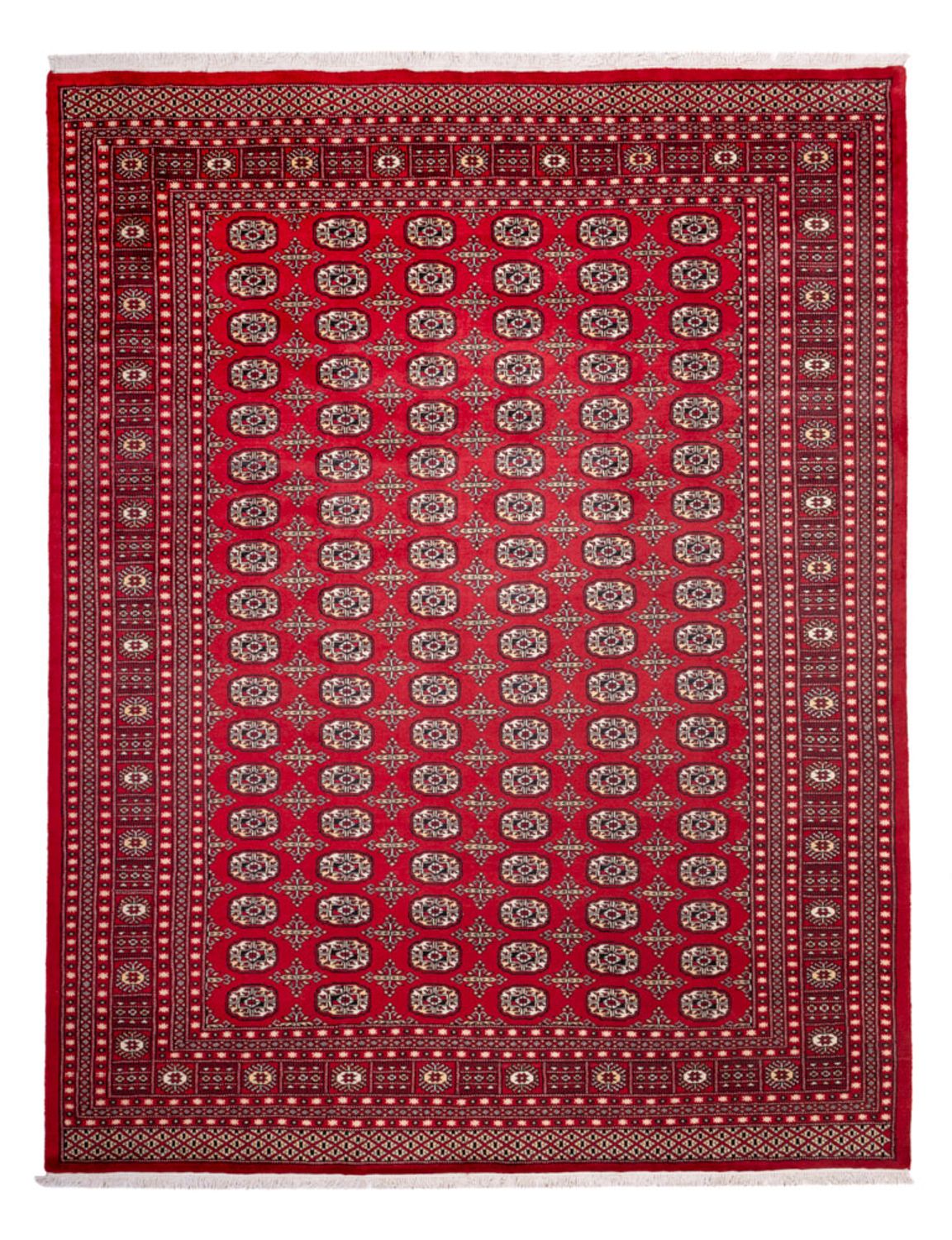 Afghan Teppich - Buchara - 311 x 243 cm - rot