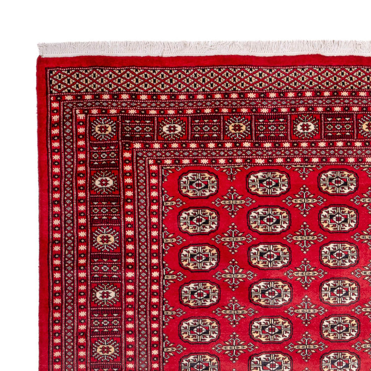 Afghan Teppich - Buchara - 311 x 243 cm - rot