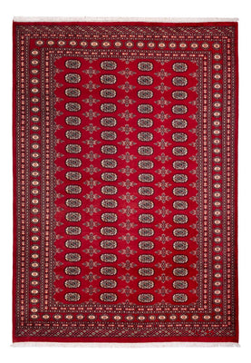 Afghan Teppich - Buchara - 297 x 213 cm - rot