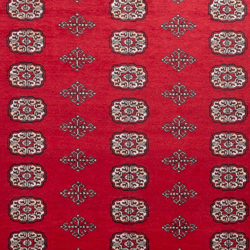 Afghan Teppich - Buchara - 306 x 197 cm - rot