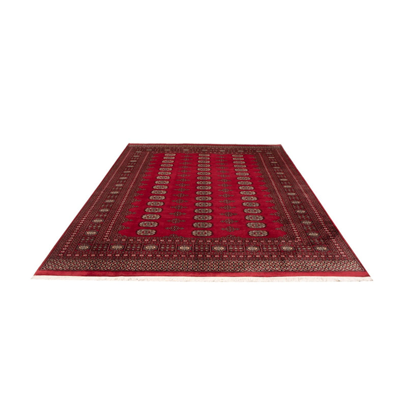 Afghan Teppich - Buchara - 306 x 197 cm - rot