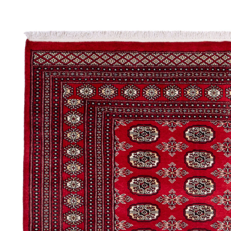 Afghan Teppich - Buchara - 302 x 199 cm - rot