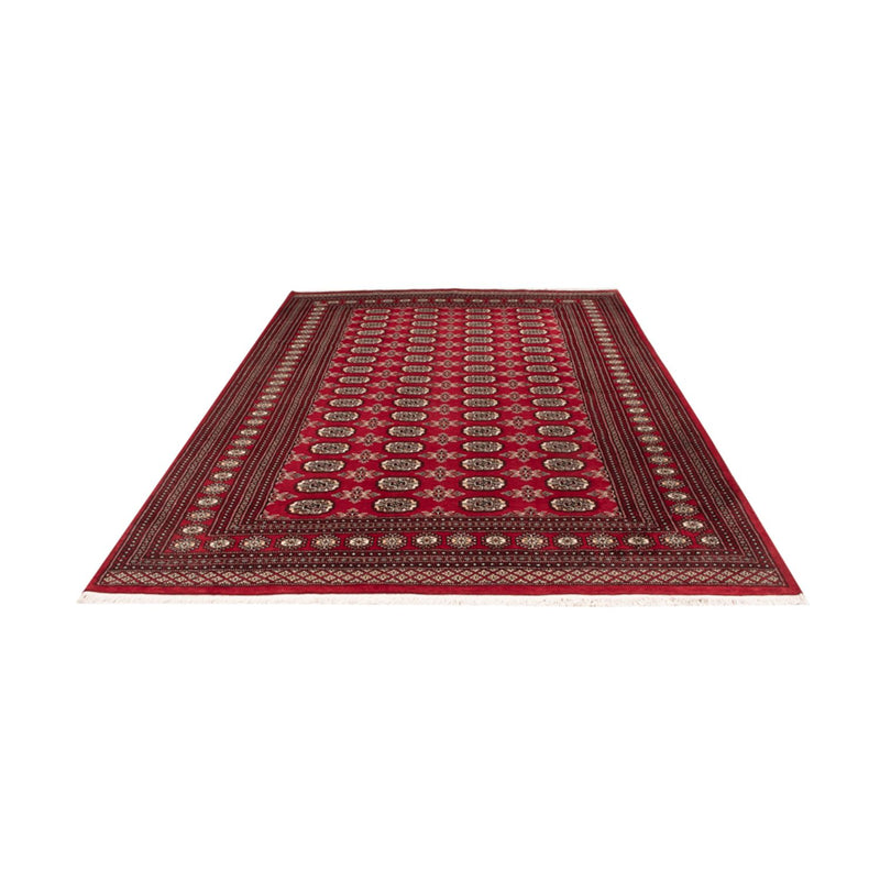 Afghan Teppich - Buchara - 302 x 199 cm - rot