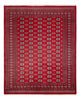 Buchara Teppich 307x247cm - Orientteppich